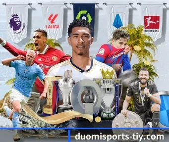 多米体育 APP | Duomi Sports